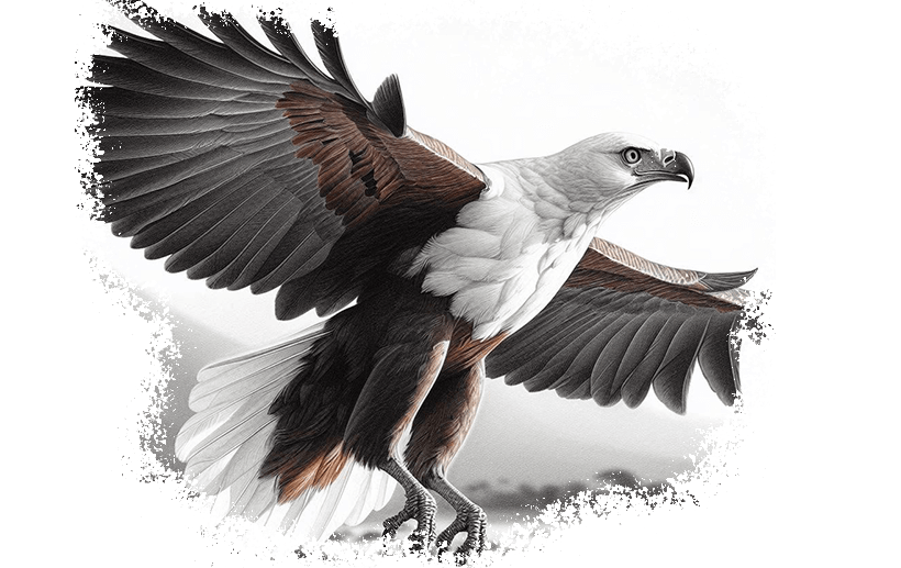 A majestic African fish eagle soaring through the sky