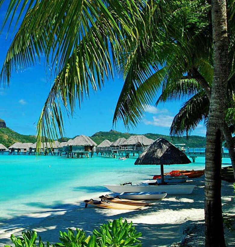 Discover Zanzibar's Pristine Beachfront Paradises