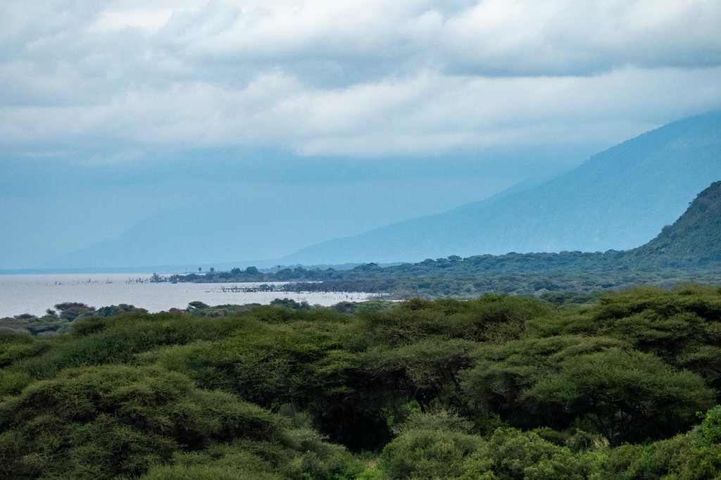 Lake Manyara Safari: Small Park, Big Wildlife Experiences