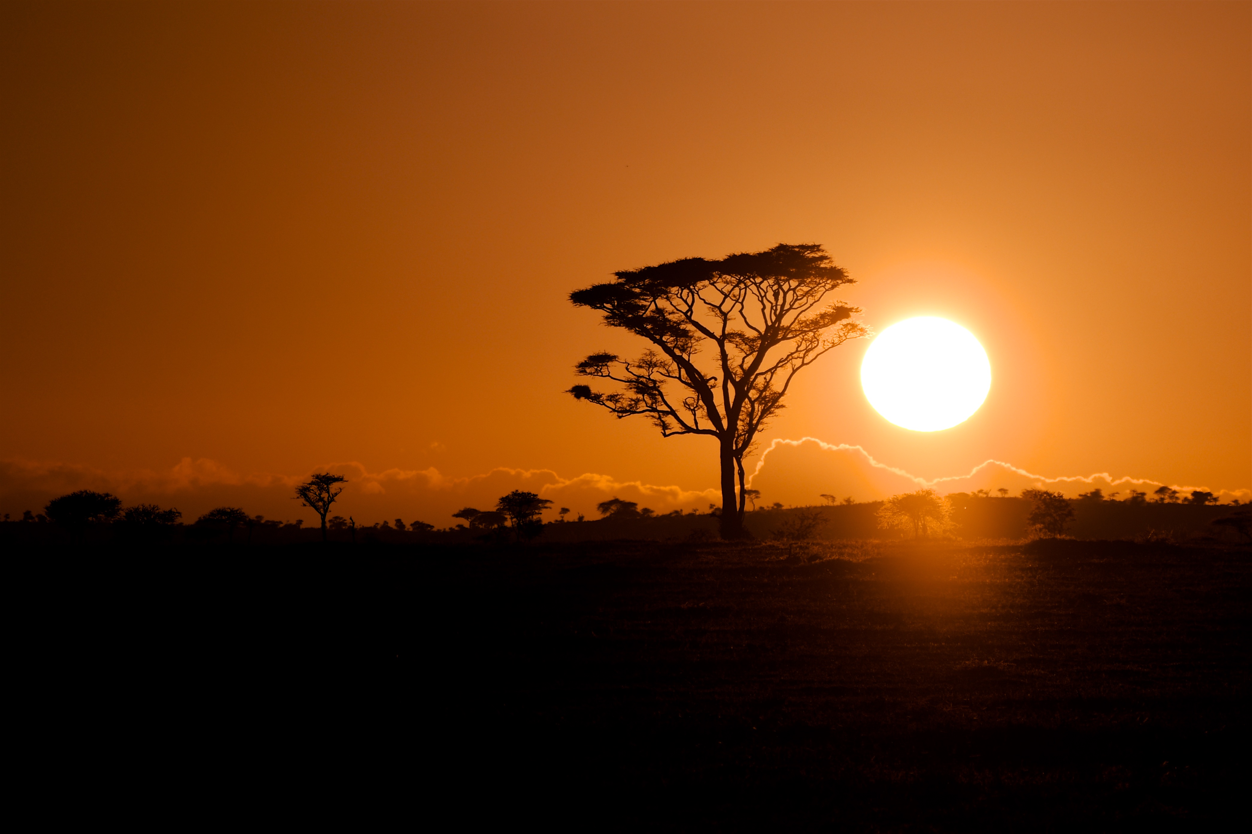 10 Things Nobody Tells You Before Your First Tanzania Safari