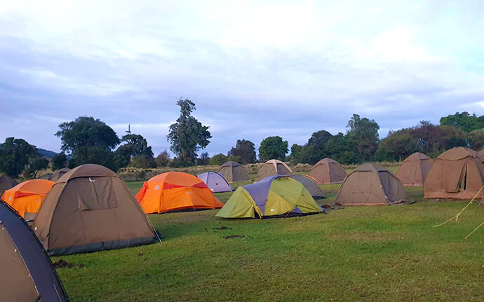 Affordable Tanzania Safari Tours & Lodges