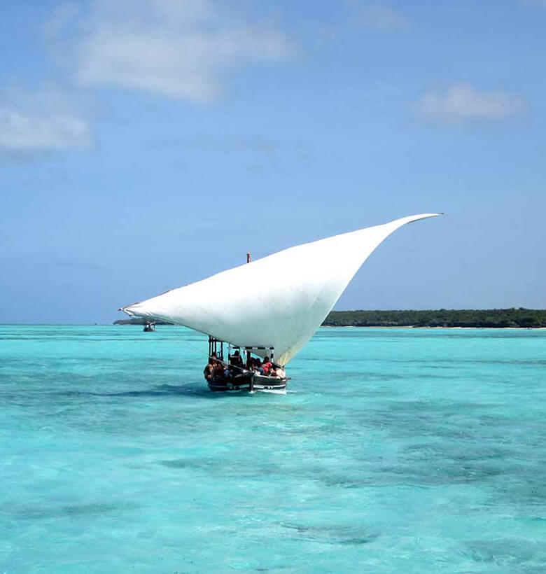 Sail into Zanzibar's Magic: Dhow Cruise Adventure