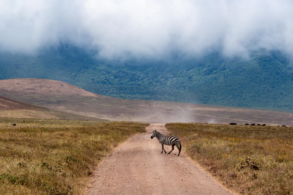 Ngorongoro Crater: Where Wildlife Meets an Ancient World