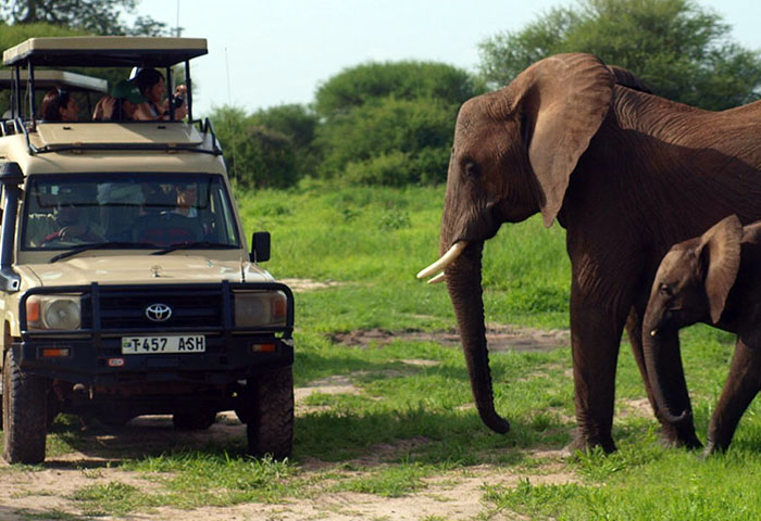 Mwewe Expeditions safari vehicle near elephants in Tarangire National Park, Tanzania.