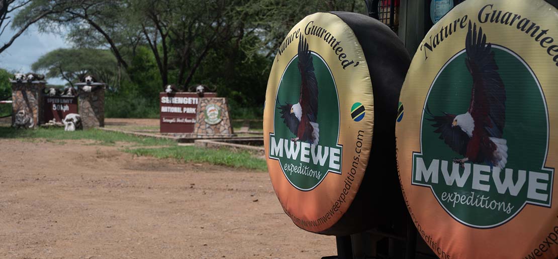 Two spare tires mounted on the rear of a safari vehicle displaying the Mwewe Expeditions logo.