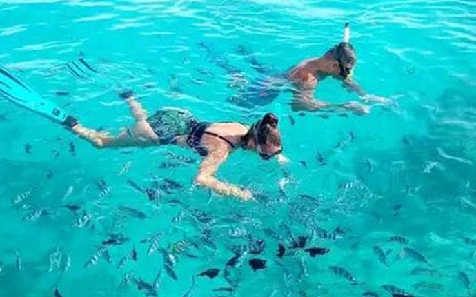 Tourists snorkeling around Mnemba Island in clear waters, surrounded by vibrant marine life.